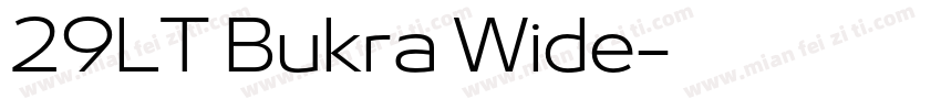 29LT Bukra Wide字体转换